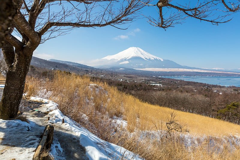 富士山山中湖全景景点