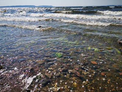 海滩