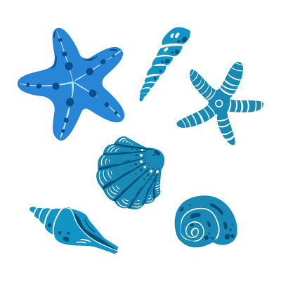 套的海贝壳和海星在白色的背景。平面向量插图。
