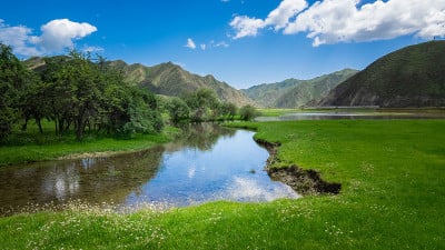 中国夏河桑科草原