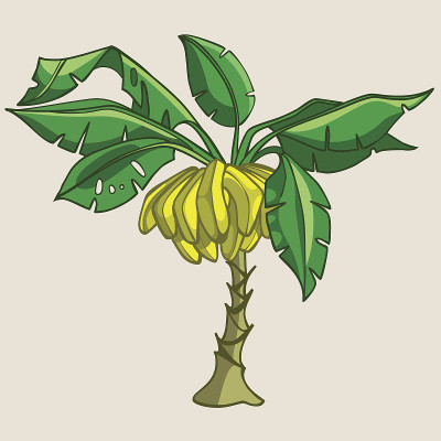 卡通香蕉树与香蕉