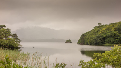 Muckross湖，基拉尼，爱尔兰