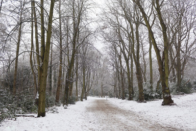 英国伦敦冬天寒冷的一天，汉斯特德希思的雪道