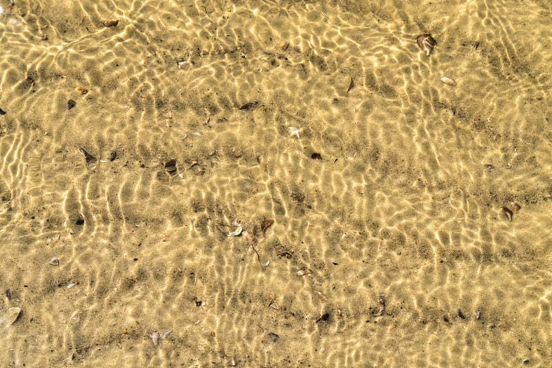 沙质河床和淡水贝壳