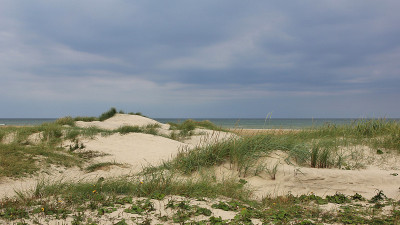 Hirtshals附近的海滩景色，丹麦。