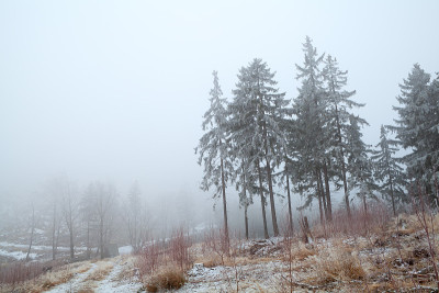 雪和雾在哈尔茨山脉