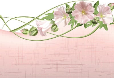 花卡