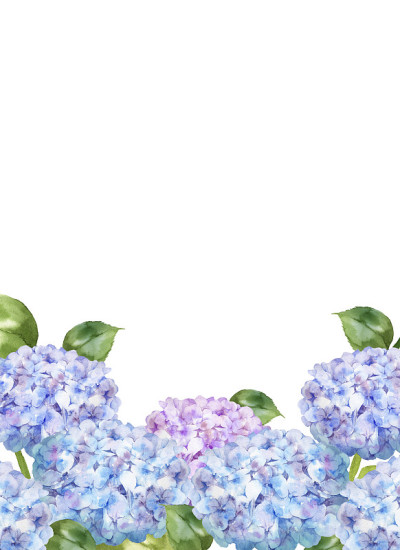 水彩绣球花插图