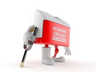 移植盒字符断腿