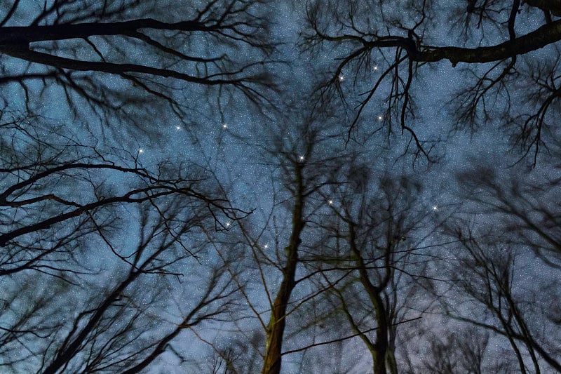 牛羚星座，夜空，星群，深空，野兔星座