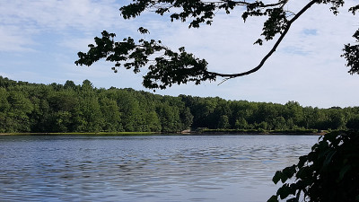 Risley水库,康涅狄格