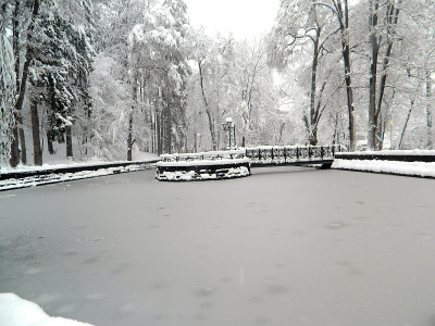大雪在公园-冬季在巴耶马市