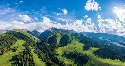 中国新疆那拉提草原的绿色草原和山地森林景观。