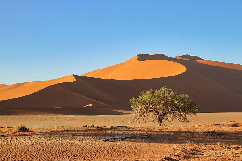 巨大的红色沙丘Sossusvlei Namib沙漠-纳米比亚- naukluft国家公园，纳米比亚，