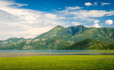 Skadar湖景观