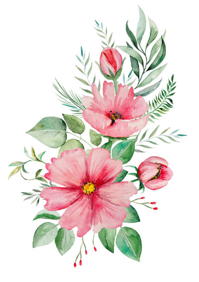水彩粉花和绿叶花束插图