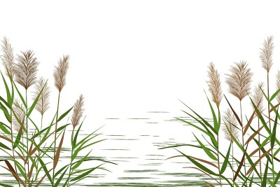 打印