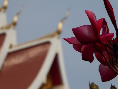 鲜花和寺庙