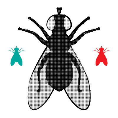 Halftone Fly Icon