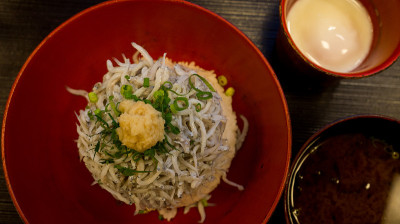 shirasu don(米饭配上日本小鱼)，Kamakura’u2019的著名美食，日本美食。