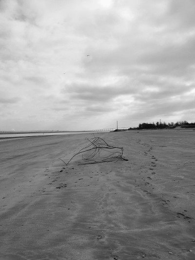 Honfleur Beach