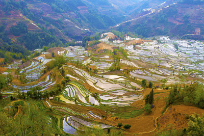 中国云南元阳梯田