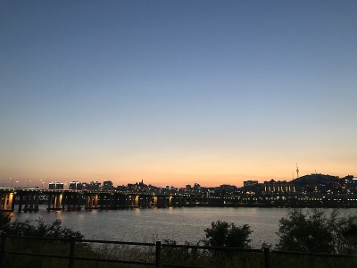 他撕裂