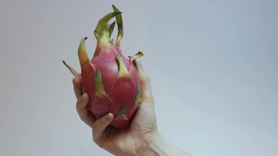 白底火龙果。