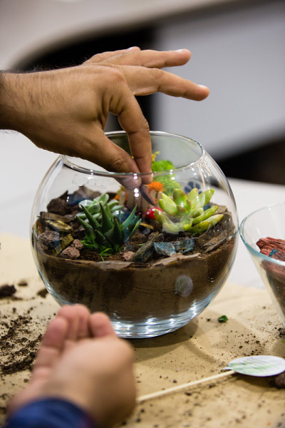 人种植仙人掌