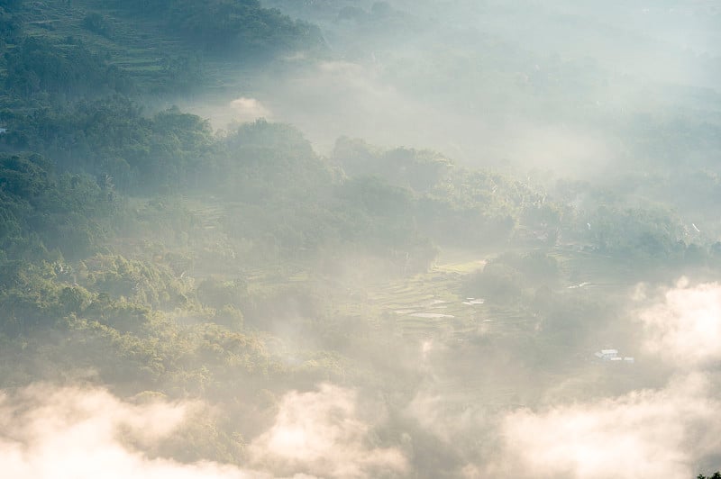 雾蒙蒙的早晨，托拉加传统村庄和稻田。