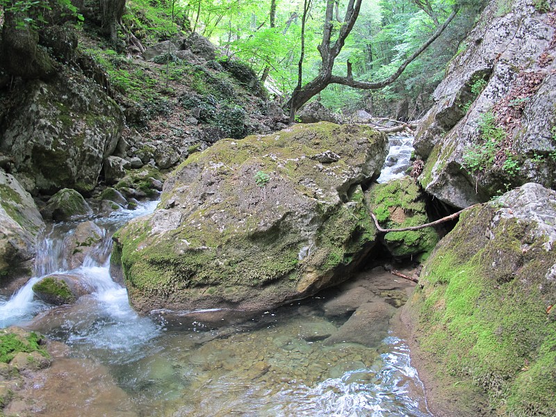 在一个凉爽的夏日，风景如画的峡谷，克里米亚大峡谷