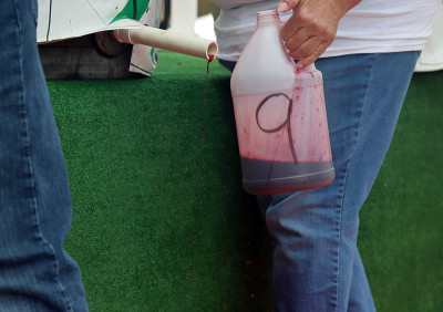 Collecting grape juice from stomping competition