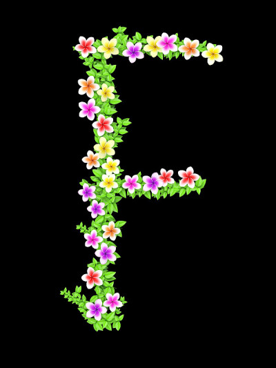 花常春藤字母表