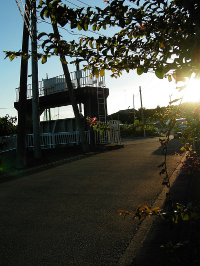 夏日夕阳