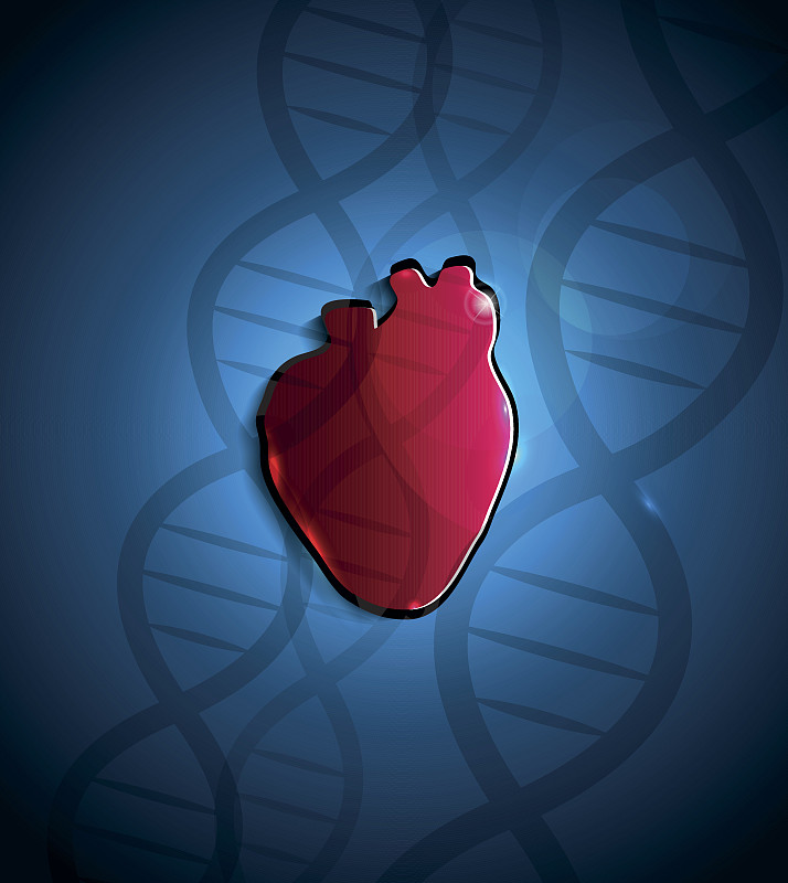 心和DNA
