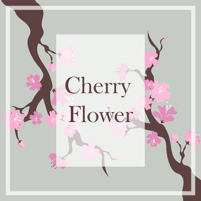 贺卡与花樱花为您的设计。樱花向量