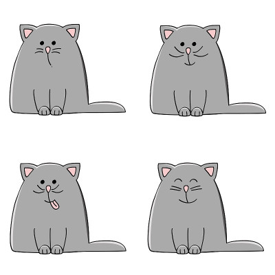 小猫