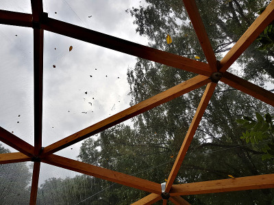 木质屋顶玻璃纸下的夏雨