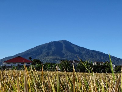 从稻田看山景