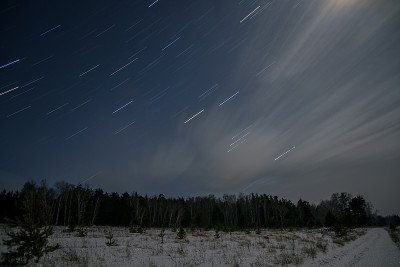 森林路夜雪星