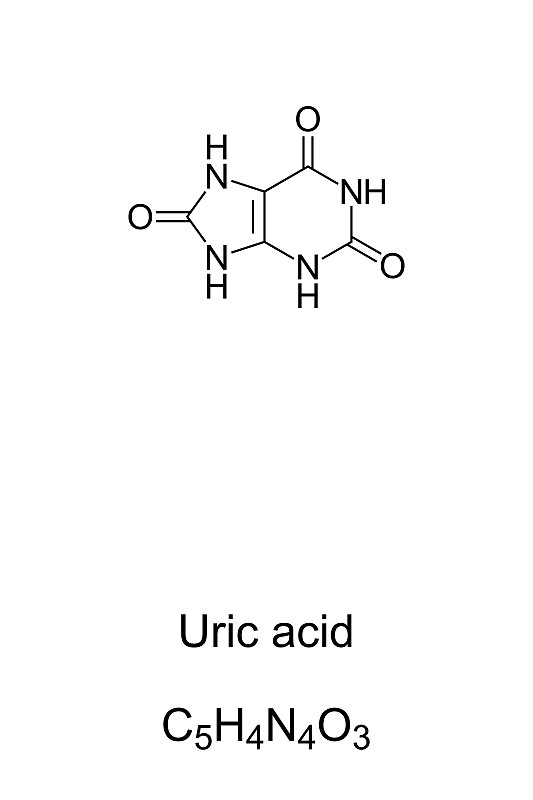 尿酸，化学结构和配方