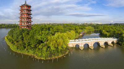 中国东莞华阳湖湿地公园的自然风光
