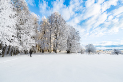 冬天。美妙的冬天的风景。树被雪覆盖着。到处都是白色的。寒冷的天气。乌鲁达格，布尔萨，土耳其伊斯坦布尔