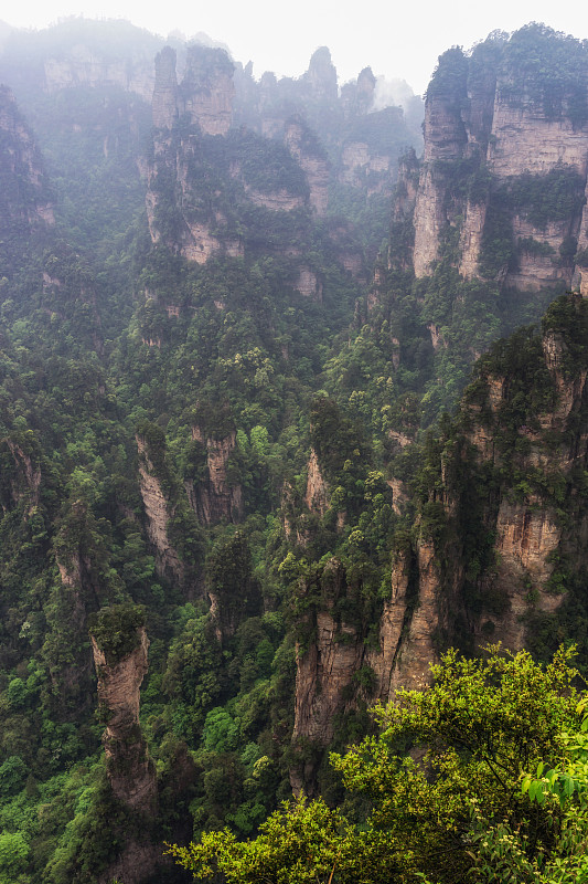 袁家界高耸的山峰