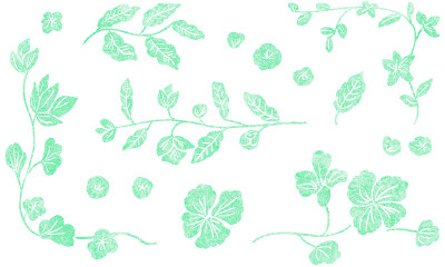 手绘花卉插图