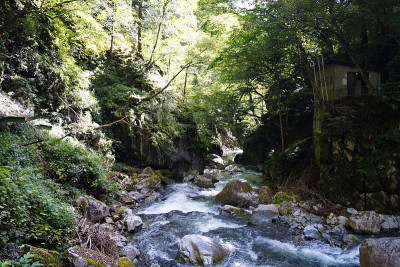 尼帕拉峡谷