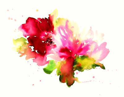 鲜花水彩插图