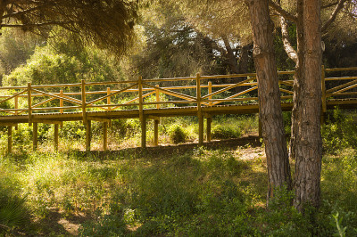 artola自然保护区的沙丘位于西班牙马拉加的Cabopino Marbella Costa del