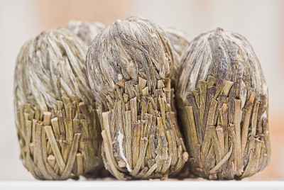 茶