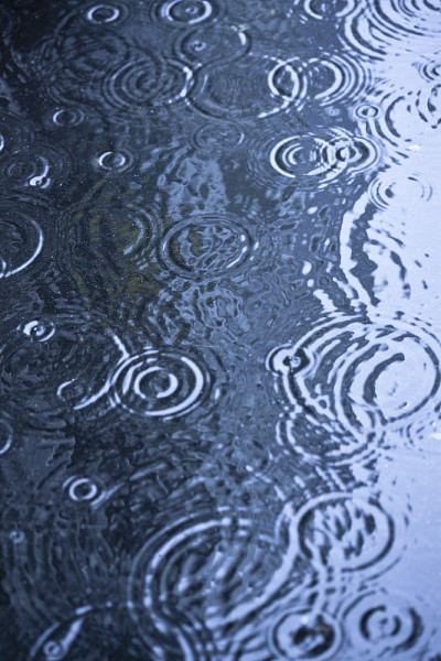 雨